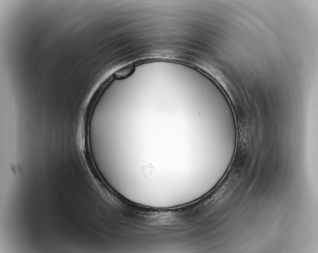 X0000093451131200710261055