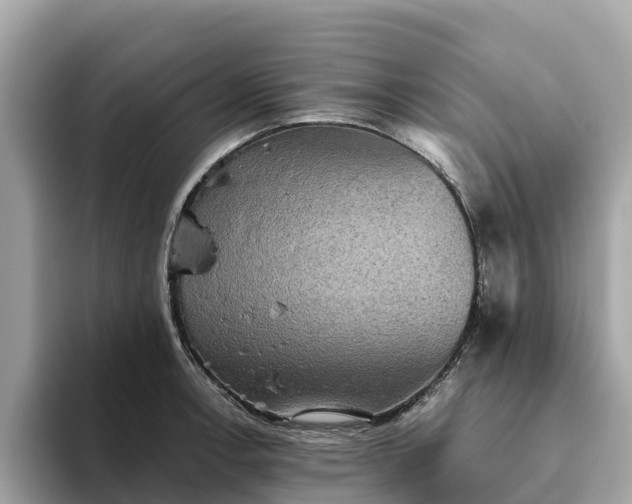 X0000093451138200710261056