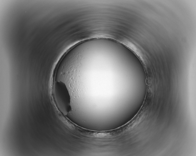 X0000093451140200710261056