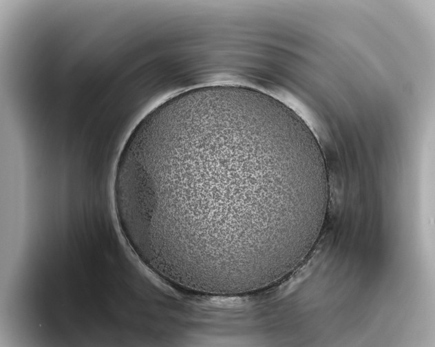 X0000093451142200710261056