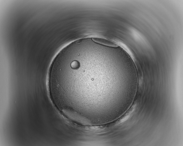 X0000093451149200710261056