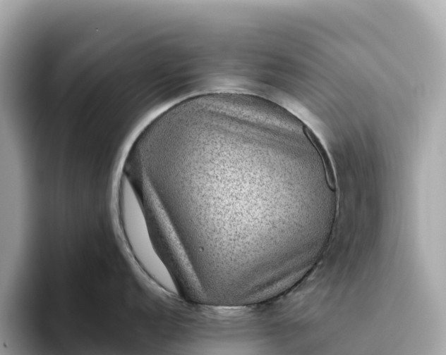 X0000093451152200710261056