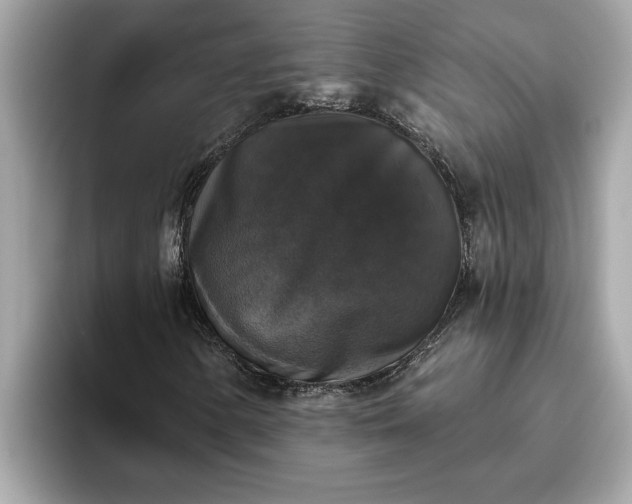 X0000093451154200710261055