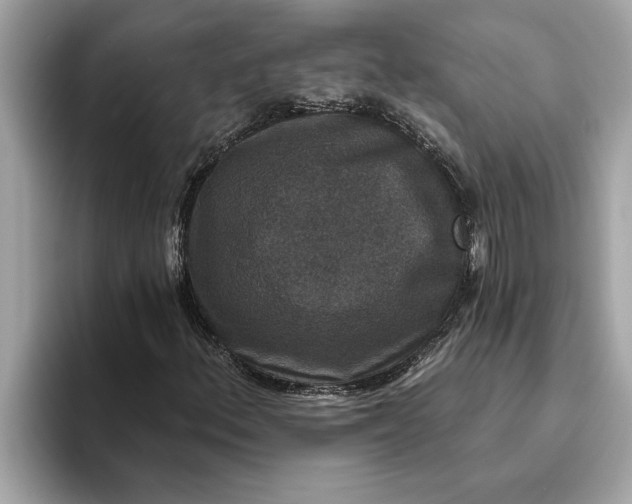 X0000093451156200710261055