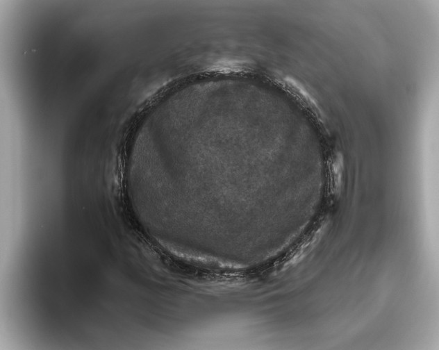 X0000093451158200710261055