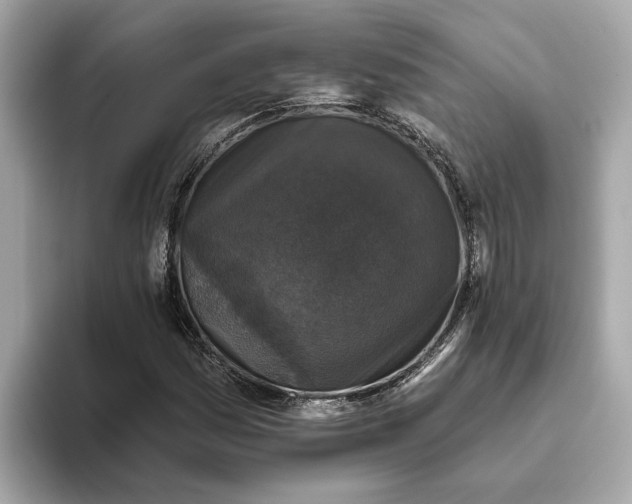 X0000093451161200710261055