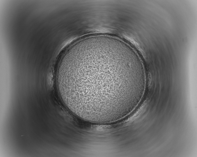 X0000093451163200710261055