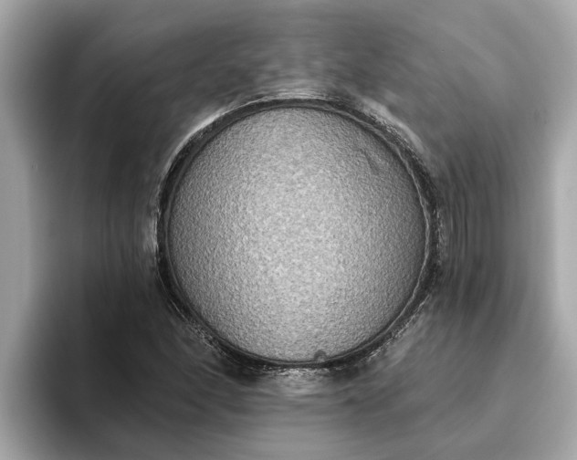 X0000093451166200710261055