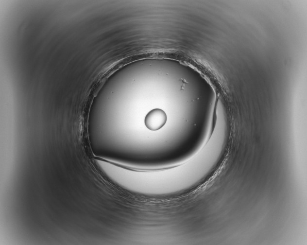 X0000093451169200710261055