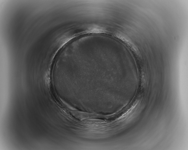 X0000093451170200710261055