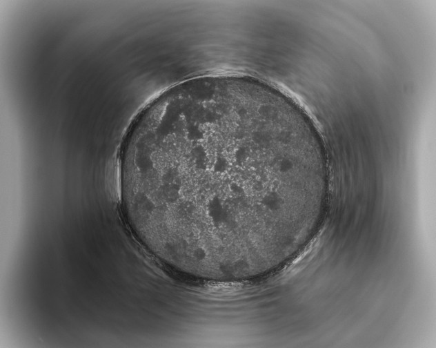 X0000093451171200710261055