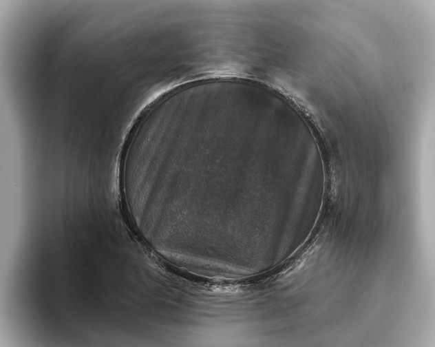 X0000093451174200710261055