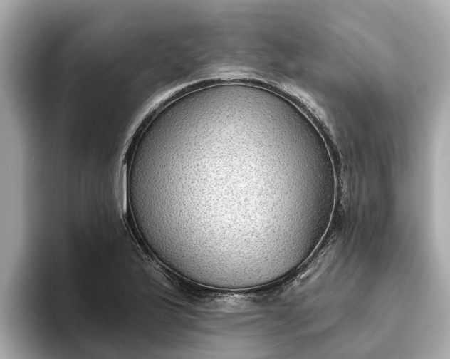 X0000093451175200710261055