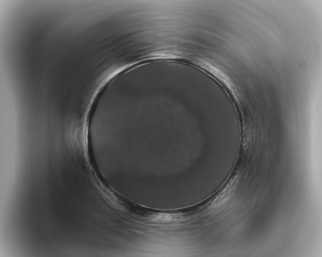 X0000093451179200710261055