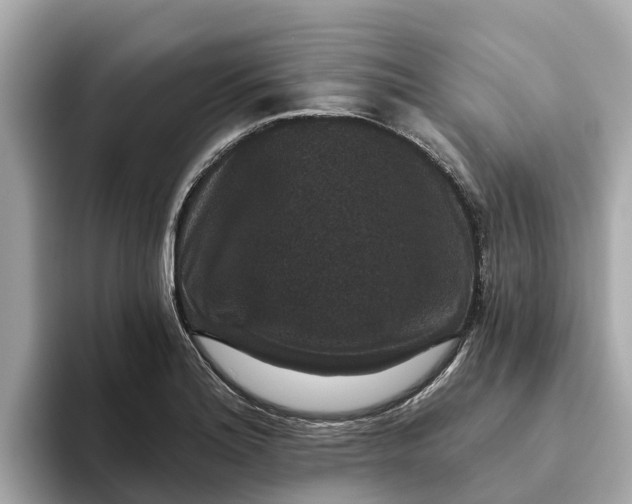 X0000093451180200710261055