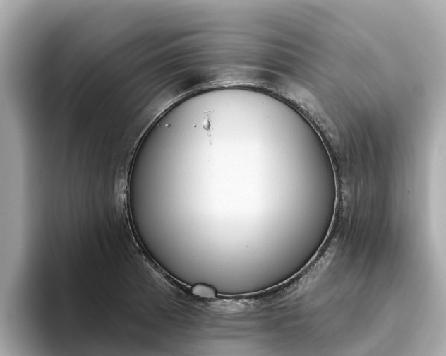 X0000093451185200710261055