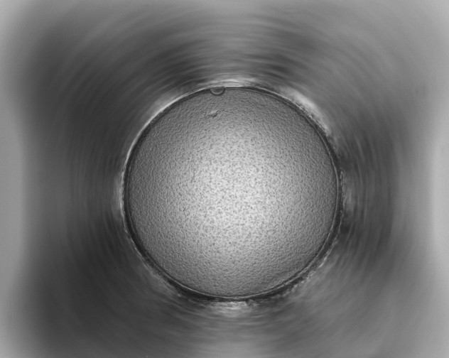 X0000093451186200710261055