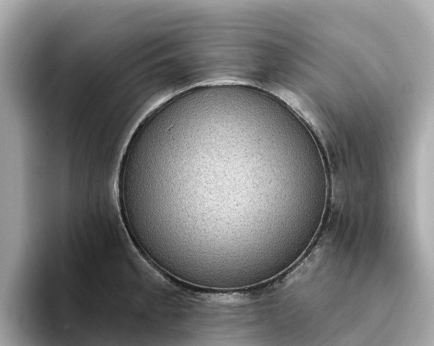 X0000093451189200710261055