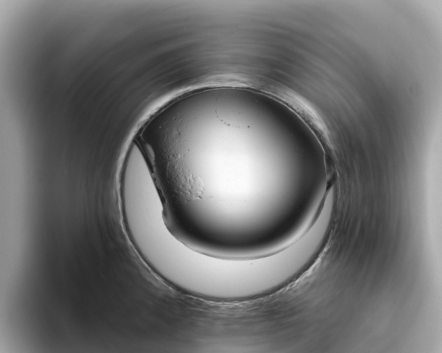 X0000093451192200710261055