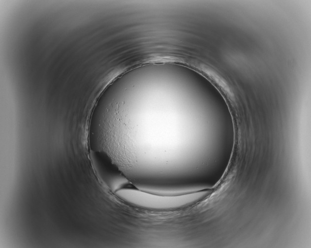 X0000093451193200710261055