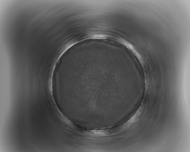 X0000093451194200710261055