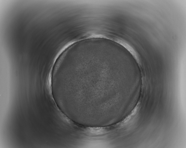 X0000093451198200710261055