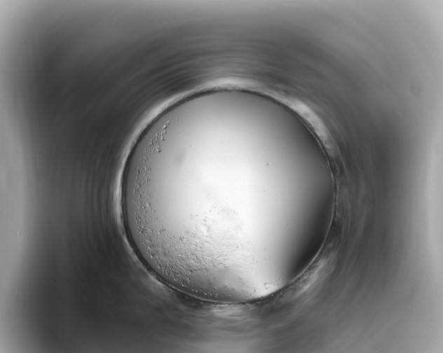 X0000093451199200710261054