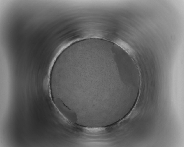 X0000093451200200710261054