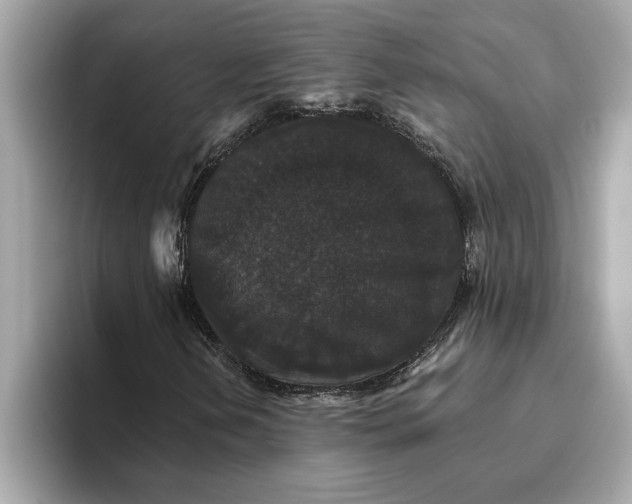 X0000093451202200710261054