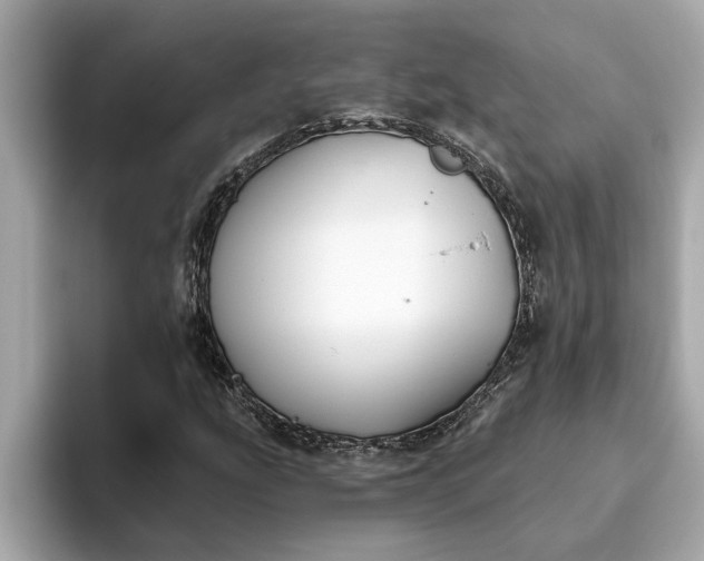 X0000093451207200710261054