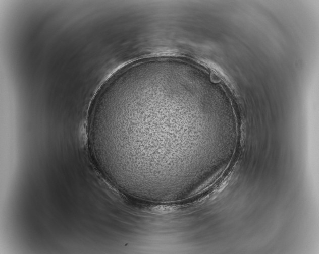 X0000093451212200710261054