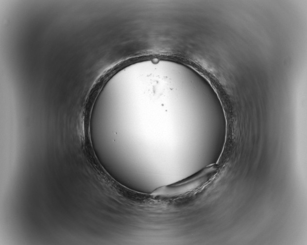 X0000093451214200710261054