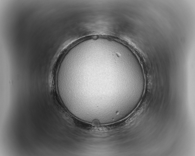 X0000093451215200710261054