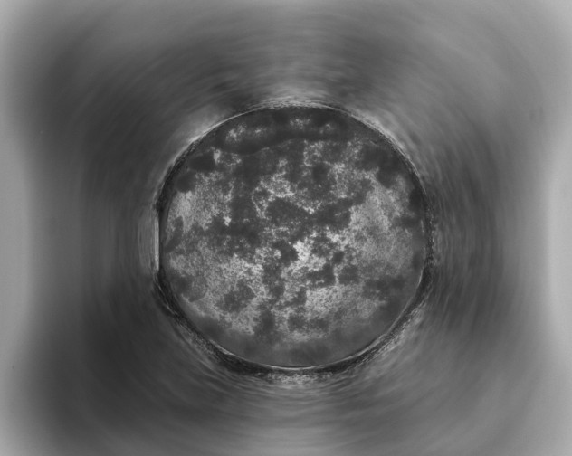 X0000093451219200710261054