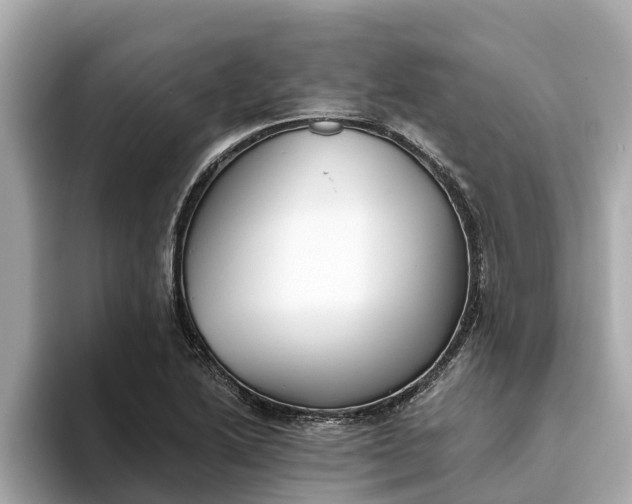 X0000093451222200710261054