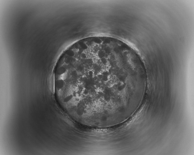 X0000093451223200710261054