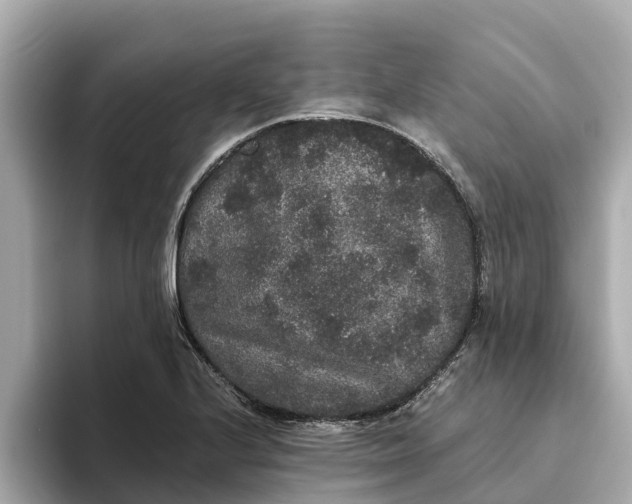 X0000093451224200710261054