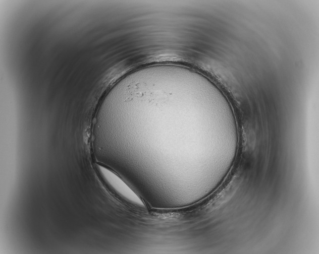 X0000093451225200710261054