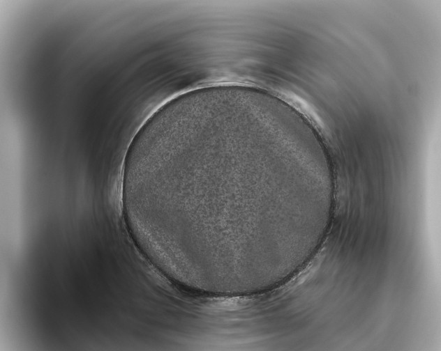 X0000093451228200710261054