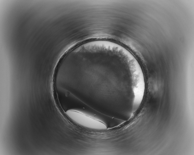 X0000093451229200710261054