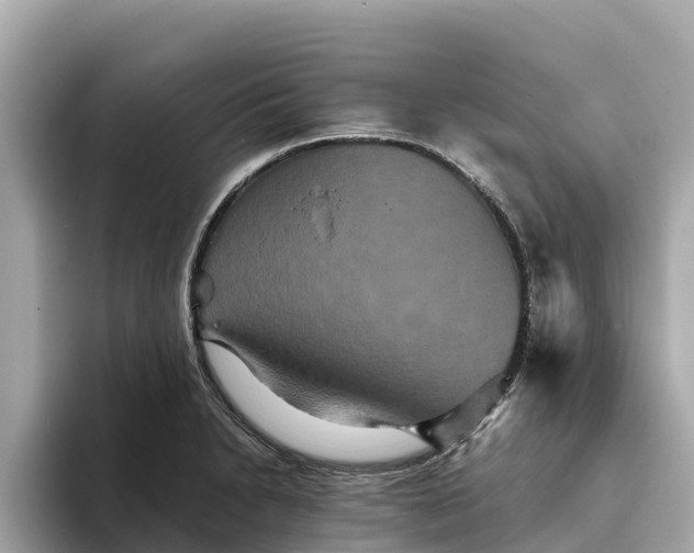 X0000093451230200710261054