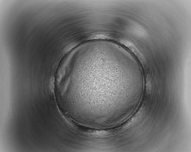 X0000093451233200710261054