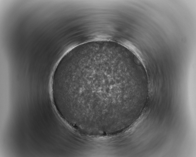 X0000093451235200710261054