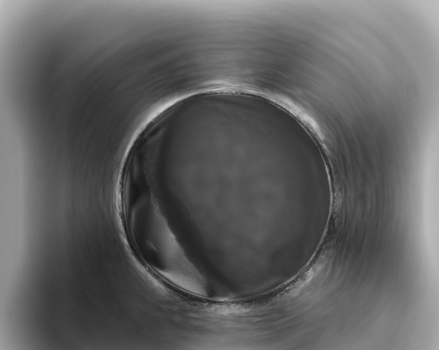 X0000093451239200710261054