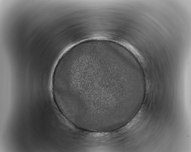 X0000093451240200710261054