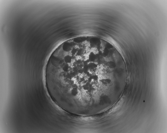 X0000093451243200710261054