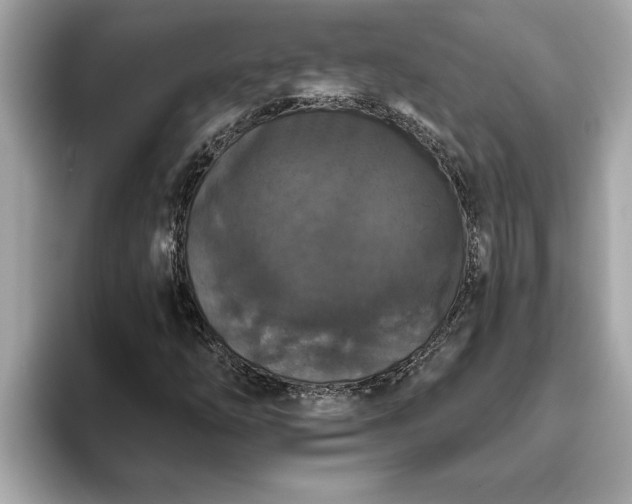 X0000093451254200710261054