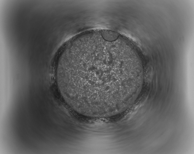 X0000093451255200710261054