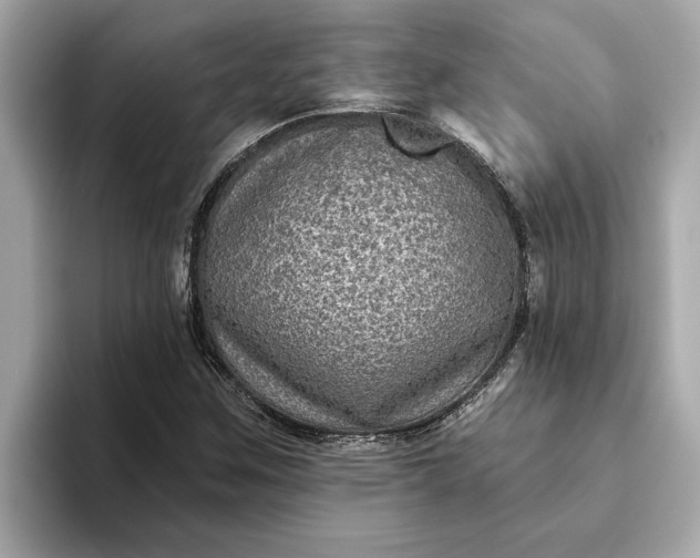 X0000093451259200710261054