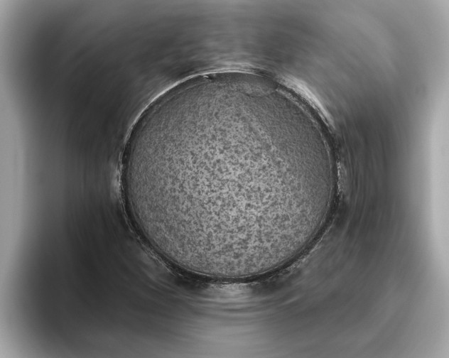 X0000093451260200710261054